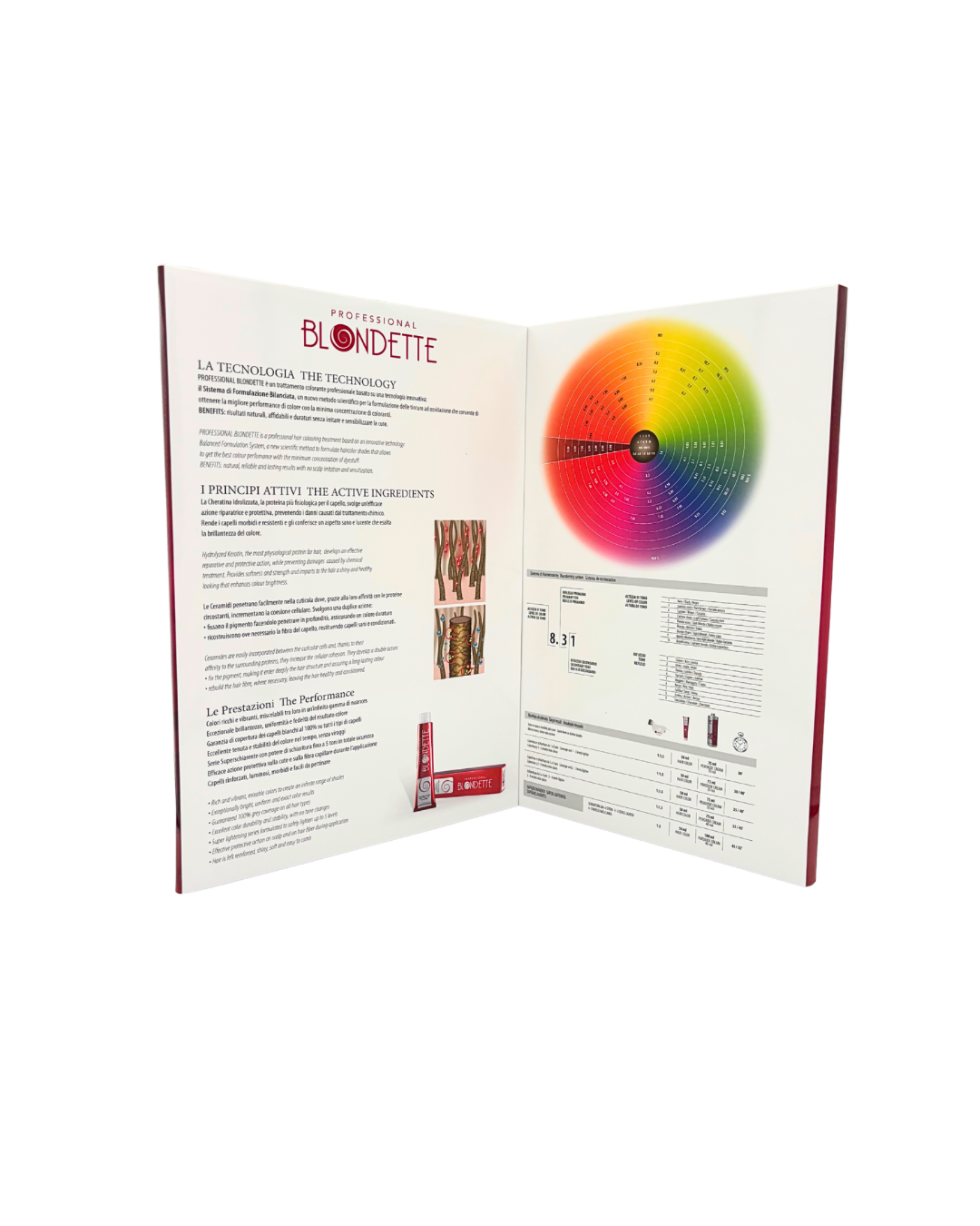 Blondette Hair Color Chart, scale of colors on strands of hair.
