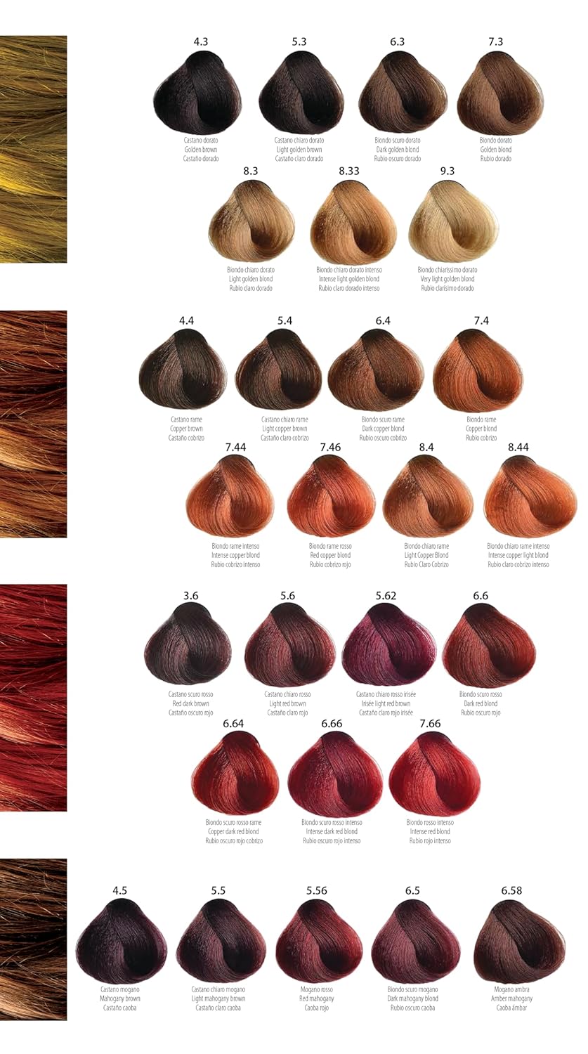 Professional Hair Color Kit 100 ml + 20 Vol Developer (6 oz) with Accessories